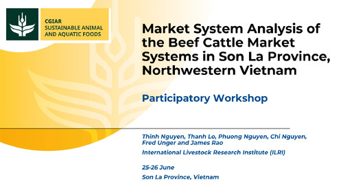 Market System Analysis of the Beef Cattle Market Systems in Son La Province, Northwestern Vietnam: Participatory Workshop
