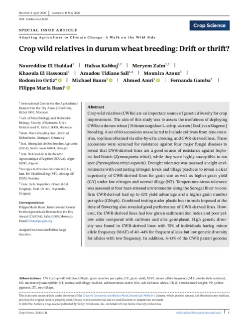 Crop wild relatives use in durum wheat breeding: drift or thrift?