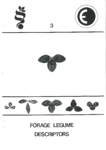 Forage legume descriptors
