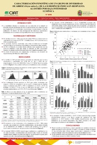 Caracterización fenotípica de un grupo de diversidad de arroz (Oryza sativa L.) de la subespecie indica en respuesta al estés por baja intensidad lumínica