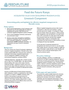 Customizing policy and legislation for effective rangeland management in Marsabit county