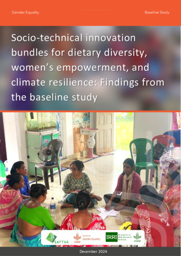 Socio-technical innovation bundles for dietary diversity, women’s empowerment, and climate resilience: Findings from the baseline study