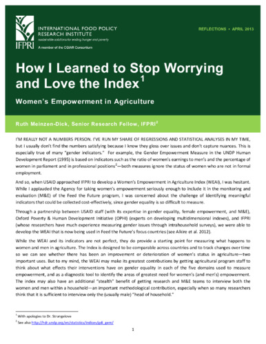 How I learned to stop worrying and love the index: Women's empowerment in Agriculture