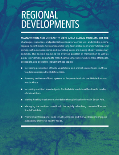 Regional developments [in 2024 Global Food Policy Report]