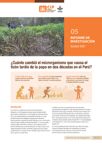 ¿Cuánto cambió el microrganismo que causa el tizón tardío de la papa en dos décadas en el Perú? Informe de investigación 05