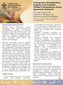 Linking farm diversification, markets, and nutrition: TAFSSA’s Participatory Socio-Agronomic Research