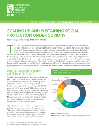 Scaling up and sustaining social protection under COVID-19