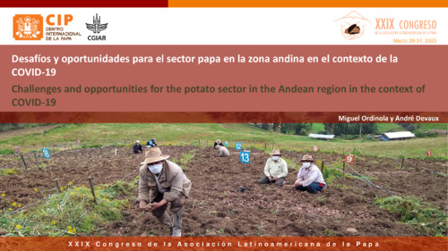 Desafíos y oportunidades para el sector papa en la zona andina en el contexto de la COVID 19
