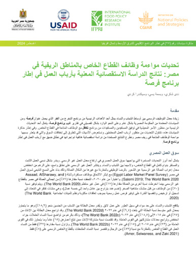 Challenges for private sector job matching in rural Egypt: Results from a survey of forsa employers