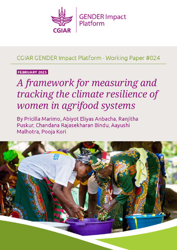A framework for measuring and tracking the climate resilience of women in agrifood systems