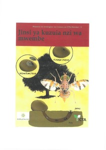 Jinsi ya kuzuia nzi wa mwembe