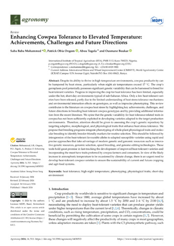 Enhancing cowpea tolerance to elevated temperature: achievements, challenges and future directions