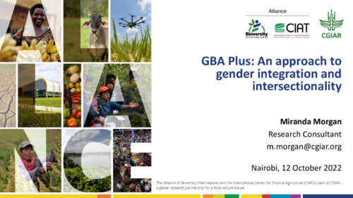 WE1.2: Gender Based Analysis Plus: A strengthened approach to gender integration and intersectionality