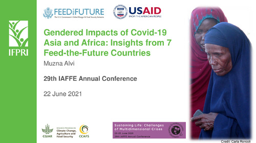 Gendered Impacts of Covid-19 Asia and Africa: Insights from 7 Feed-the-Future Countries