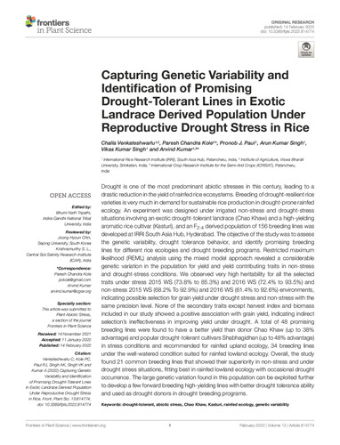 Capturing genetic variability and identification of promising drought-tolerant lines in exotic landrace derived population under reproductive drought stress in rice