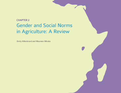 Gender and social norms in Agriculture: A review