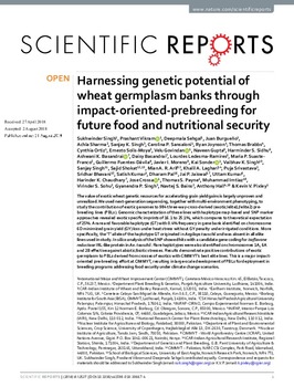 Harnessing genetic potential of wheat germplasm banks through impact-oriented-prebreeding for future food and nutritional security
