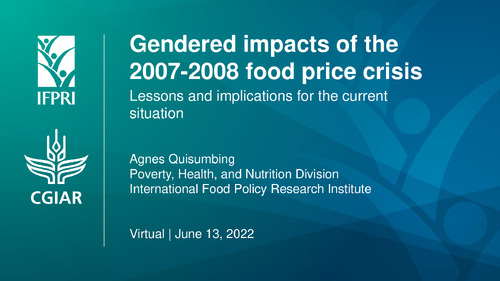 Gendered Impacts of the 2007-2008 food price crisis: Lessons and implications for the current situation