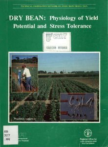 Dry bean: physiology of yield potential and stress tolerance