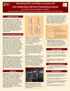 Identifying QTLs and RGAs in cassava and their relationships with three Phytophthora species