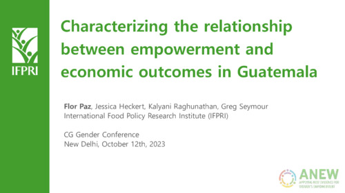 Day 4 IFPRI Presentations for 2023 CGIAR GENDER-ICAR Conference