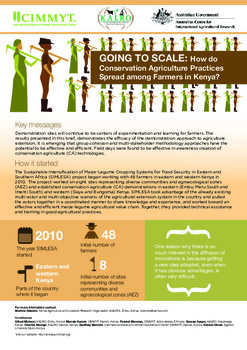 Going to scale: How do Conservation Agriculture practices spread among farmers in Kenya?