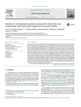 Variation in developmental patterns among elite wheat lines and relationships with yield, yield components and spike fertility