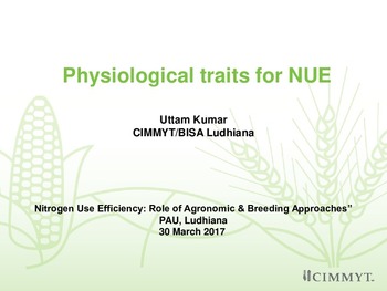 Physiological traits for NUE