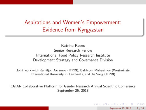 Aspirations and women's empowerment: Evidence from Kyrgyzstan