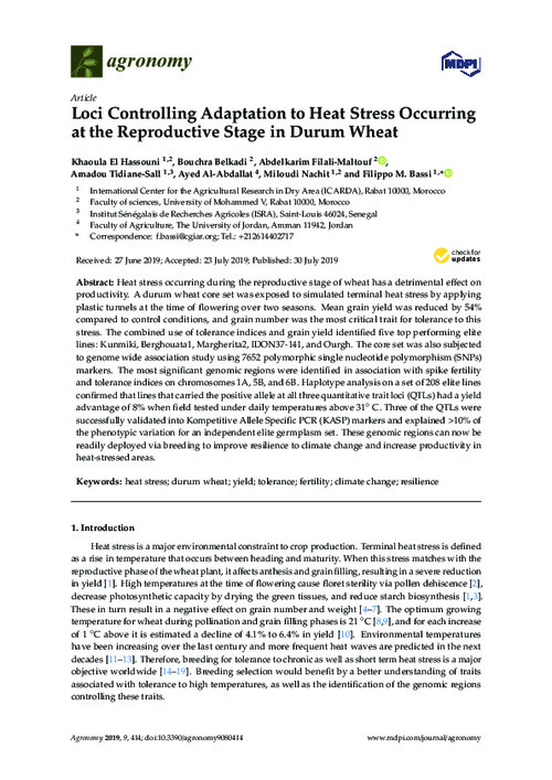 Loci Controlling Adaptation to Heat Stress Occurring at the Reproductive Stage in Durum Wheat