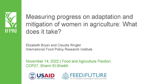 Measuring progress on adaptation and mitigation of women in agriculture: What does it take?