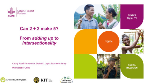 Can 2 + 2 make 5? From adding up to Intersectionality