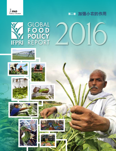 Climate change and agriculture: Strengthening the role of smallholders