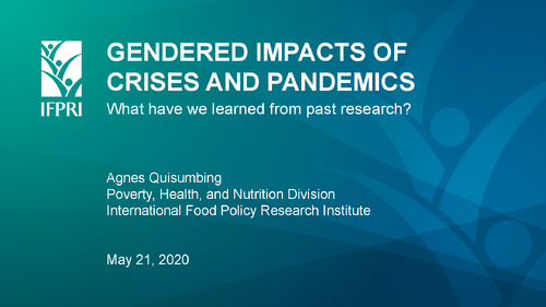Gendered Impacts of Crises and Pandemics