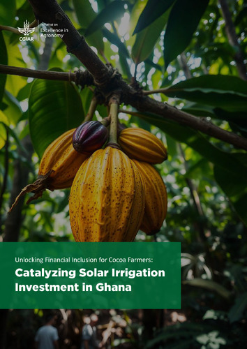 Unlocking financial inclusion for cocoa farmers: catalyzing solar irrigation investment in Ghana