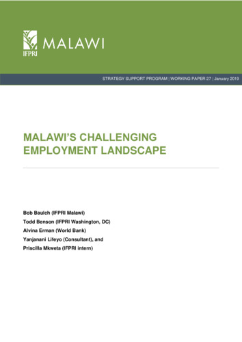 Malawi's challenging employment landscape