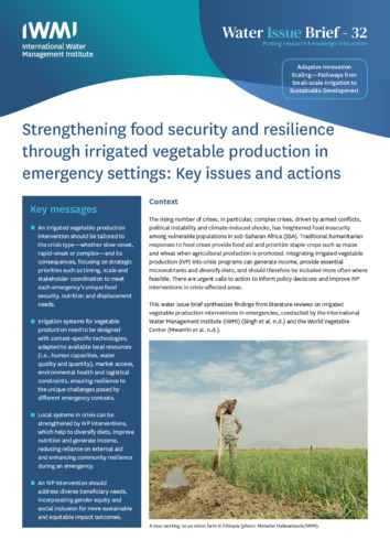Strengthening food security and resilience through irrigated vegetable production in emergency settings: key issues and actions