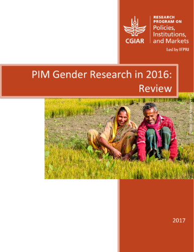 PIM Gender Research in 2016: Review
