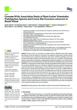 Genome-wide association study of root-lesion nematodes pratylenchus species and crown rot fusarium culmorum in bread wheat