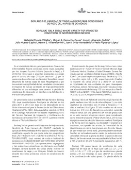 Borlaug 100, variedad de trigo harinero para condiciones de riego del Noroeste de México