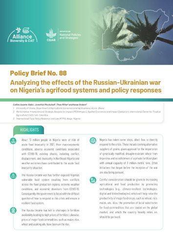 Analyzing the effects of the Russian-Ukrainian war on Nigeria’s agrifood systems and policy responses