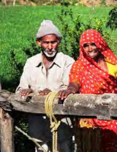Women in agriculture: Closing the gender gap