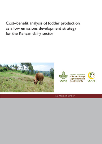 Cost–benefit analysis of fodder production as a low emissions development strategy for the Kenyan dairy sector