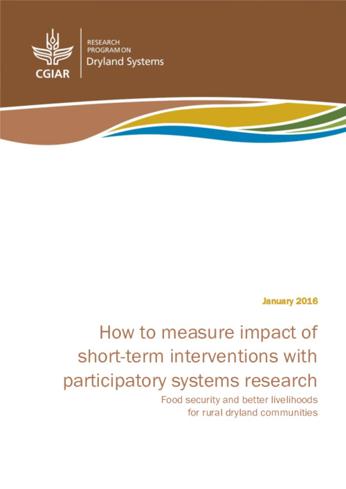 How to measure impact of short-term interventions with participatory systems research approaches?