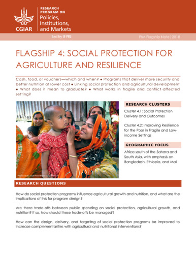 Flagship 4: Social protection for agriculture and resilience