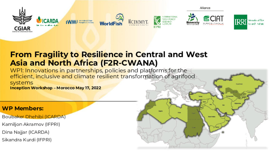 WP1: Innovations in partnerships, policies and platforms for the efficient, inclusive and climate resilient transformation of agrifood systems