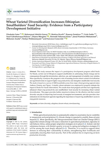 Wheat varietal diversification increases Ethiopian smallholders’ food security: Evidence from a participatory development initiative