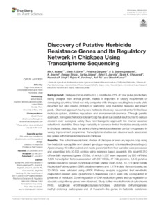 Discovery of Putative Herbicide Resistance Genes and Its Regulatory Network in Chickpea Using Transcriptome Sequencing