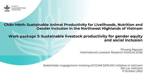 Chăn-hênh: Sustainable Animal Productivity for Livelihoods, Nutrition and Gender inclusion in the Northwest Highlands of Vietnam, Work package 3: Sustainable livestock productivity for gender equity and social inclusion
