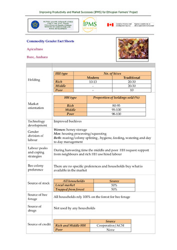 IPMS commodity gender fact sheet, Bure pilot learning woreda
